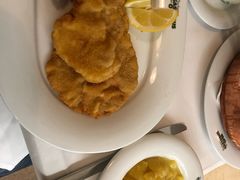 维也纳炸猪排-Plachuttas Gasthaus zur Oper