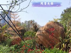 -四海公园(南山区)
