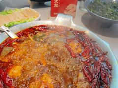 -渝大龙重庆火锅(温泉月亮湾店)