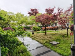 -上海爱以德护理院·康复(宝山院)