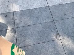 -星巴克(深圳新沙天虹店)