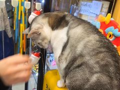 -谜盒子奇幻密室(南屏店)
