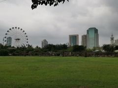 -万绿园