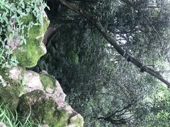 -杭州黄龙洞