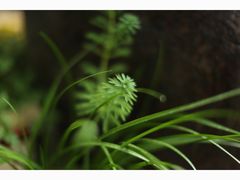 -行人小筑·茶馆(岑村火炉山分店)