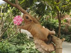 -南宫五洲植物乐园