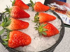 -柿合缘新京菜(国金中心商场店)