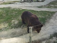 -黔灵山公园