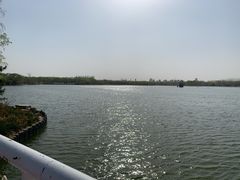 -大兴滨河森林公园