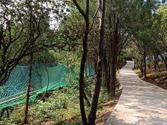 -红螺寺