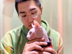 -藏猫猫咖啡主题馆(中央大道店)