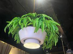 -天山醉美辣子鸡(文艺路店)