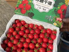 -仲雅水果大卖场(仲雅苑店)