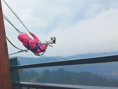 -梦幻奥陶纪景区