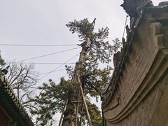 -潭柘寺景区
