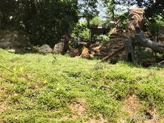 -海南热带野生动植物园
