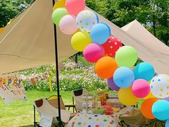 -上海共青森林公园