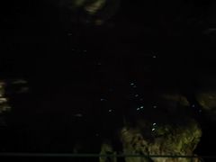 -怀托摩萤火虫洞