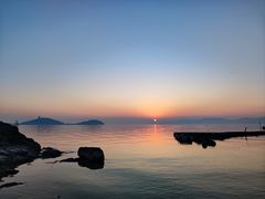 -上海市保健医疗中心