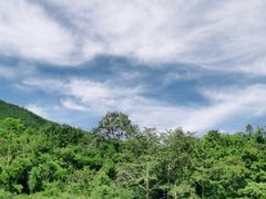 -西双版纳原始森林公园