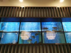 -珍宝海鲜JUMBO Seafood(尚嘉店)