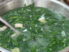 上汤枸杞叶-香江农家乐饭店
