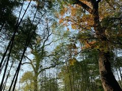 -西湖风景区十里琅珰-五云山