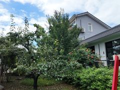 -丽泽山庄·生态怀柔菜·虹鳟鱼(红螺寺店)