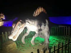 游乐设施-平潭国际旅游岛·龙王头沙滩运动基地