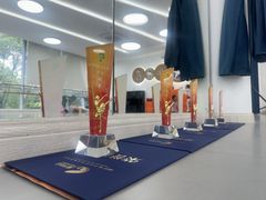 -小荧星艺校(浦东中环分校)