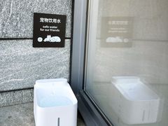 -阿那亚第三食堂 Cafeteria 3
