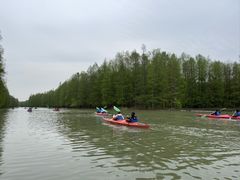 -上海海湾国家森林公园