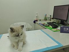 -宠颐生汉谟拉比宠物医院