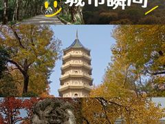 -灵谷景区