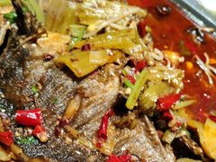 -美蛙四季(亦庄店)