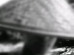 -刘大盲人推拿灸