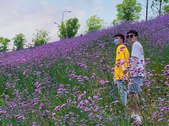 -石井坡(地铁站)