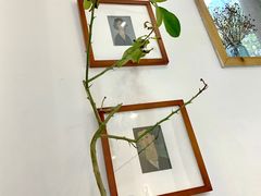 -COTTON CAFE(德信·中外公寓店)