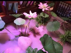 -韵秋荷(宝山龙湖天街店)