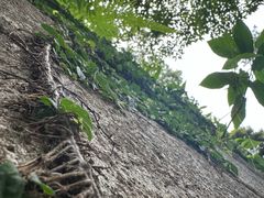 -普陀山风景名胜区-法雨禅寺