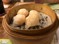 -澳洲牛奶公司(佐敦店)