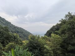 -韬光茶庵
