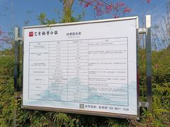 -艾米稻香小镇