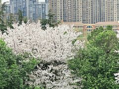 -武汉园博园(武汉自然博物馆)