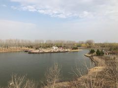 -东郊湿地公园