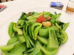 -姚林轩