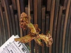 -乐乐姐超级土豆(中关村5号店)