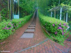 -故乡缘·香格里拉山庄(冷竹路店)