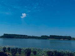 -丁香湖公园