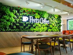 大堂-Peet's Coffee皮爷咖啡(大学路店)